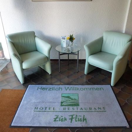 Hotel Zur Flueh Bad Sackingen Luaran gambar