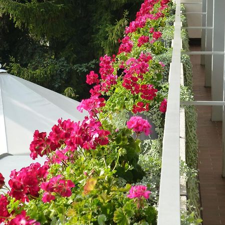 Hotel Zur Flueh Bad Sackingen Luaran gambar